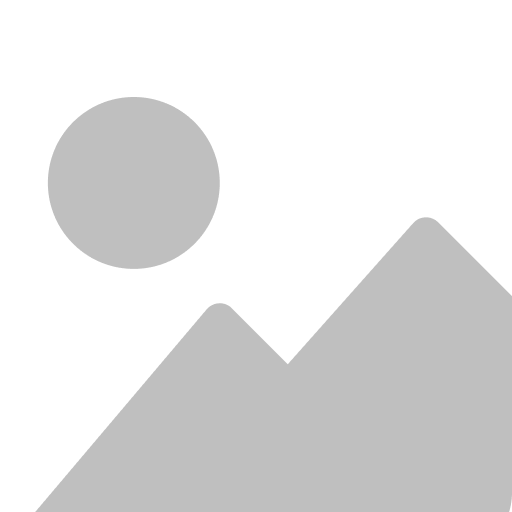 A2 Consulting LLC