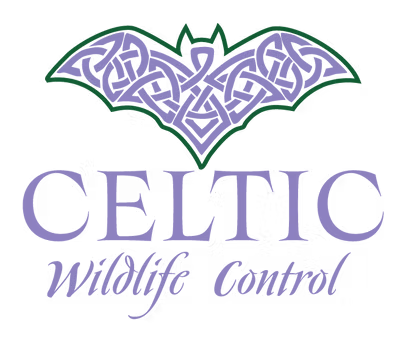 celtic-wildlife